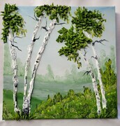 Birches on a HILL